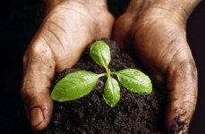 RD-Events-Corporate-Social-Responsibility